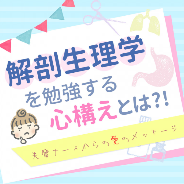 解剖生理学を勉強する心構えとは！？