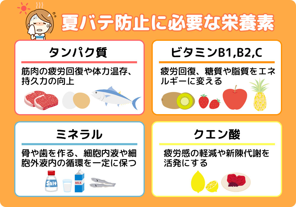 夏バテ防止に必要な栄養素は？