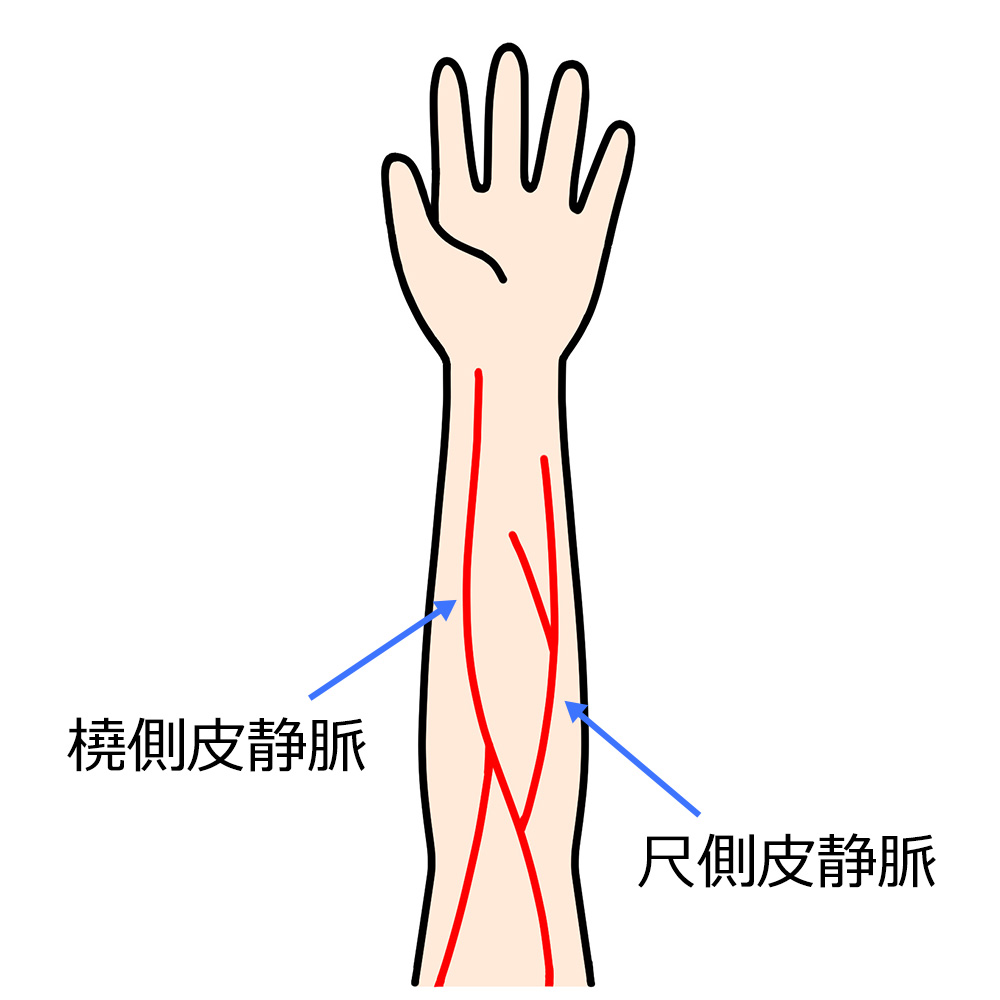 腕の血管
