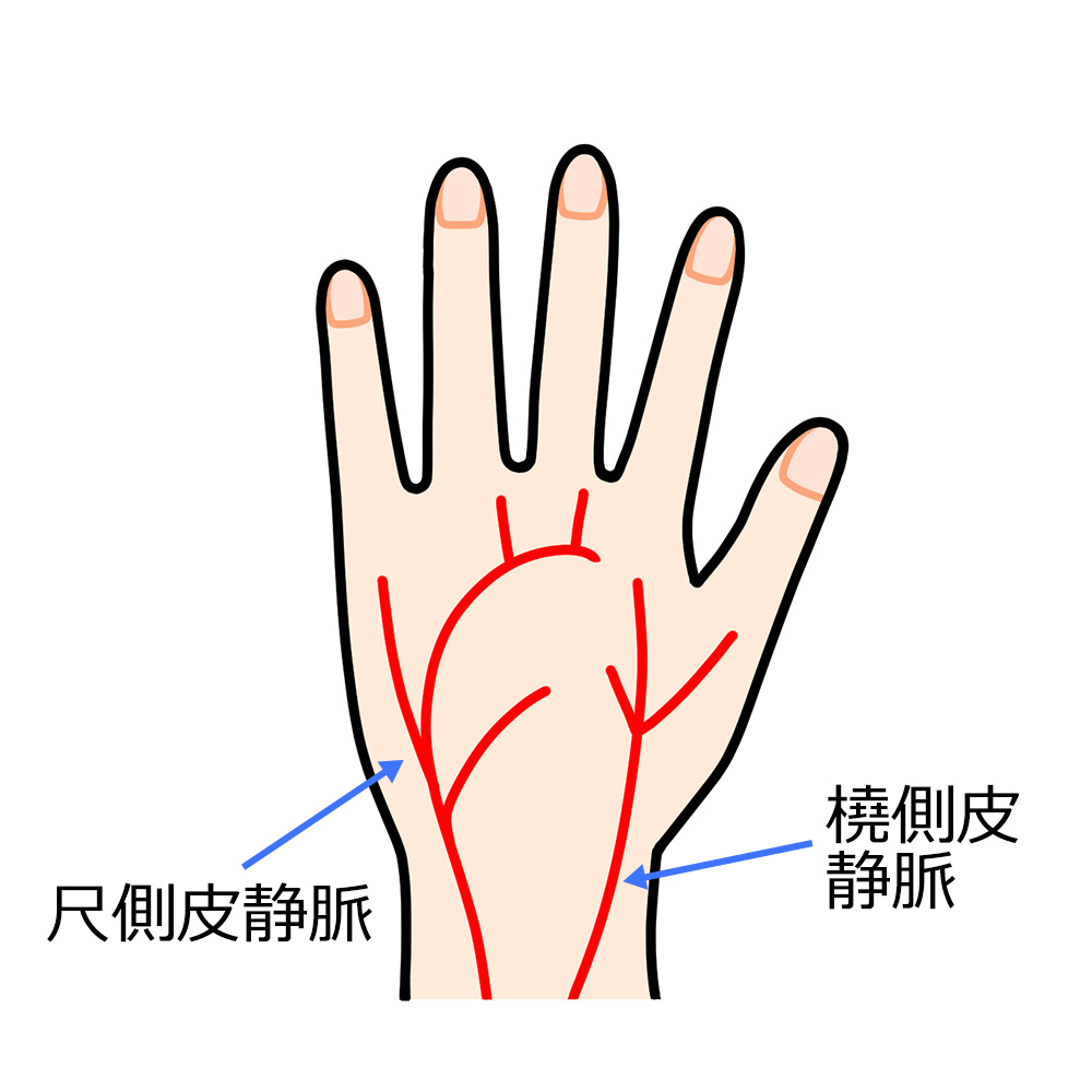 手の血管