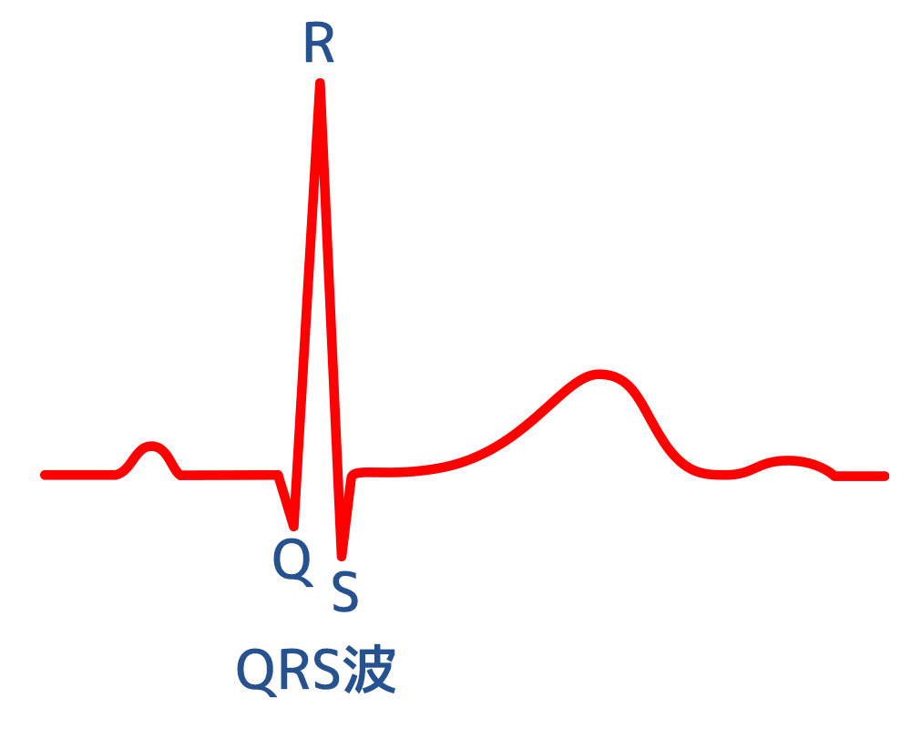 QRS波
